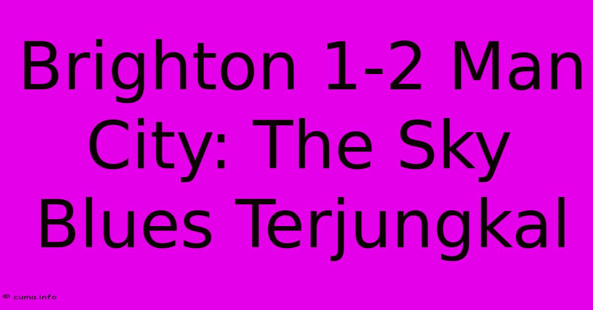 Brighton 1-2 Man City: The Sky Blues Terjungkal Brighton 1-2 Man City: The Sky Blues Terjungkal