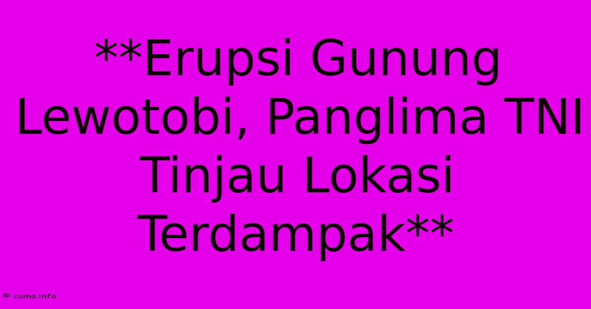 **Erupsi Gunung Lewotobi, Panglima TNI Tinjau Lokasi Terdampak**