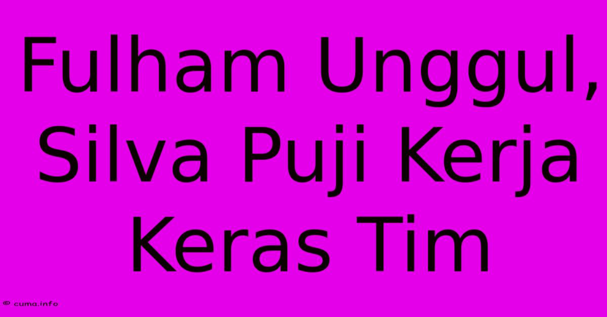 Fulham Unggul, Silva Puji Kerja Keras Tim Fulham Unggul, Silva Puji Kerja Keras Tim
