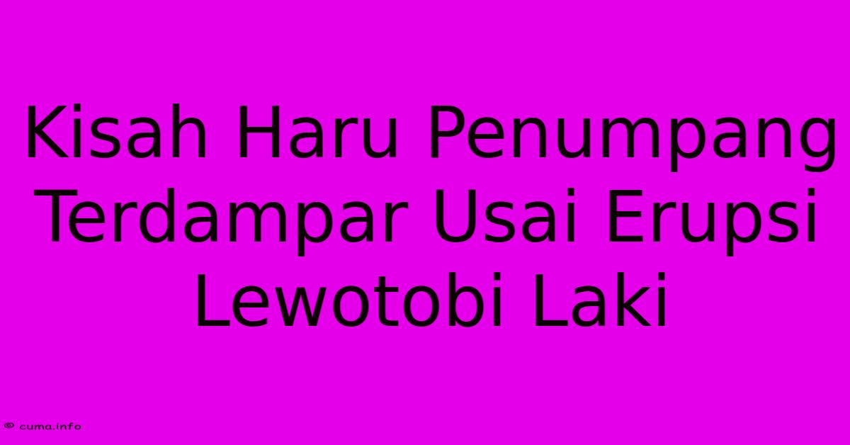 Kisah Haru Penumpang Terdampar Usai Erupsi Lewotobi Laki Kisah Haru Penumpang Terdampar Usai Erupsi Lewotobi Laki