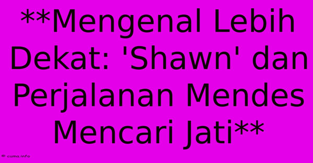 **Mengenal Lebih Dekat: 'Shawn' Dan Perjalanan Mendes Mencari Jati** 