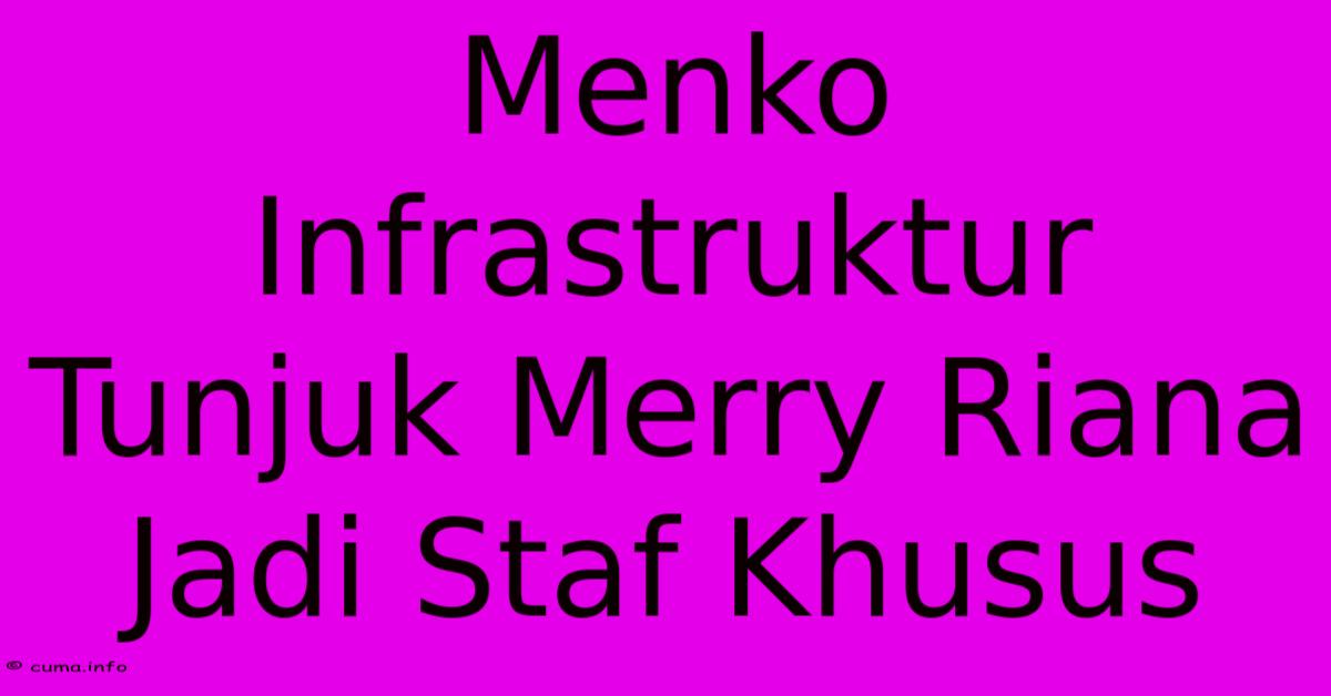 Menko Infrastruktur Tunjuk Merry Riana Jadi Staf Khusus Menko Infrastruktur Tunjuk Merry Riana Jadi Staf Khusus