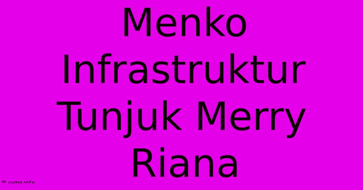 Menko Infrastruktur Tunjuk Merry Riana Menko Infrastruktur Tunjuk Merry Riana