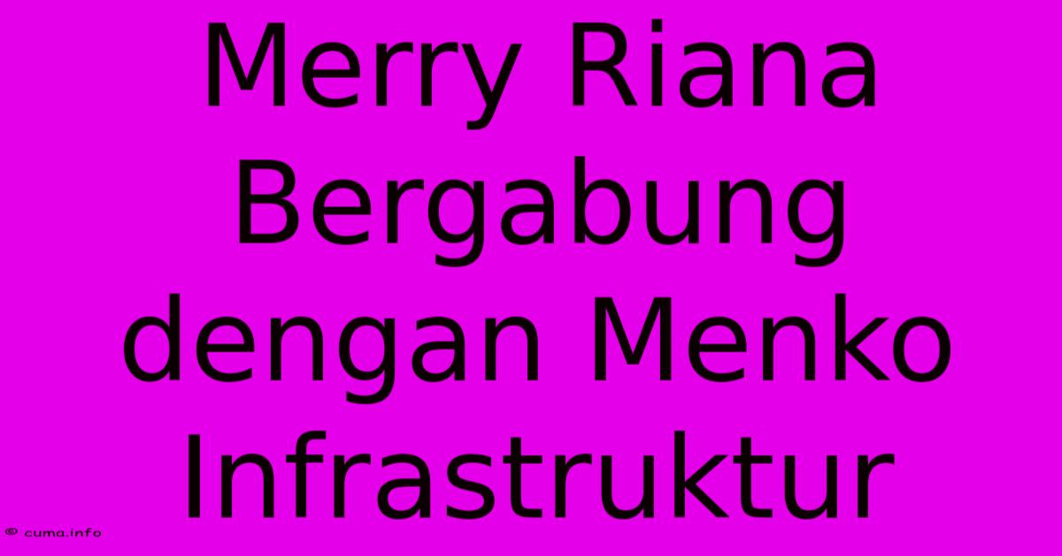 Merry Riana Bergabung Dengan Menko Infrastruktur Merry Riana Bergabung Dengan Menko Infrastruktur