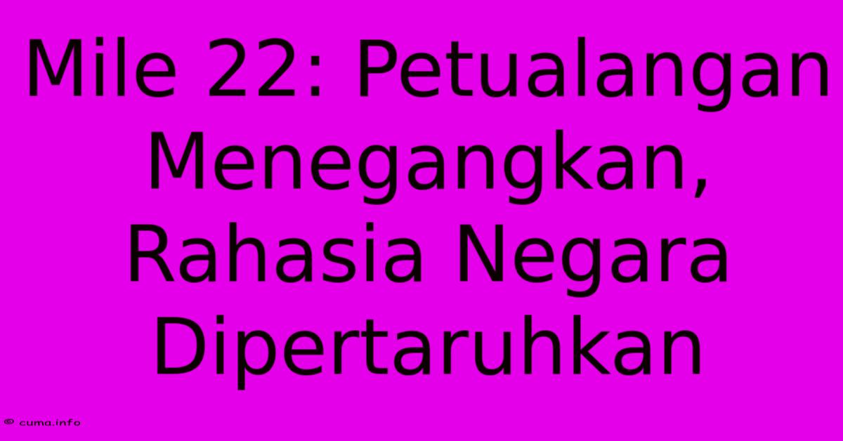 Mile 22: Petualangan Menegangkan, Rahasia Negara Dipertaruhkan