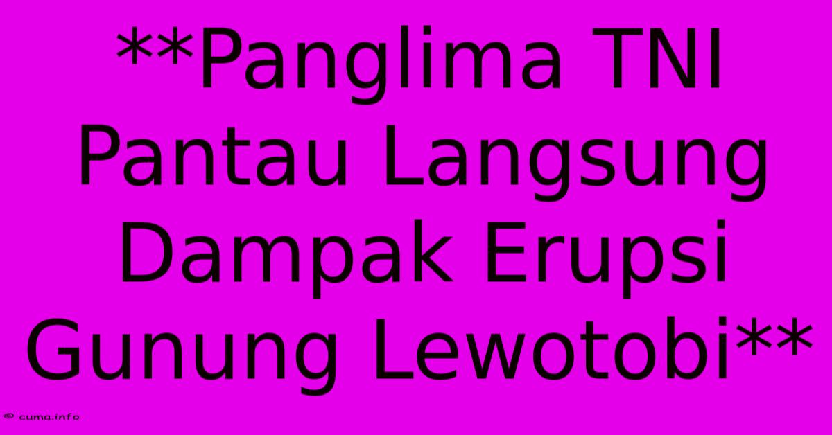 **Panglima TNI Pantau Langsung Dampak Erupsi Gunung Lewotobi**