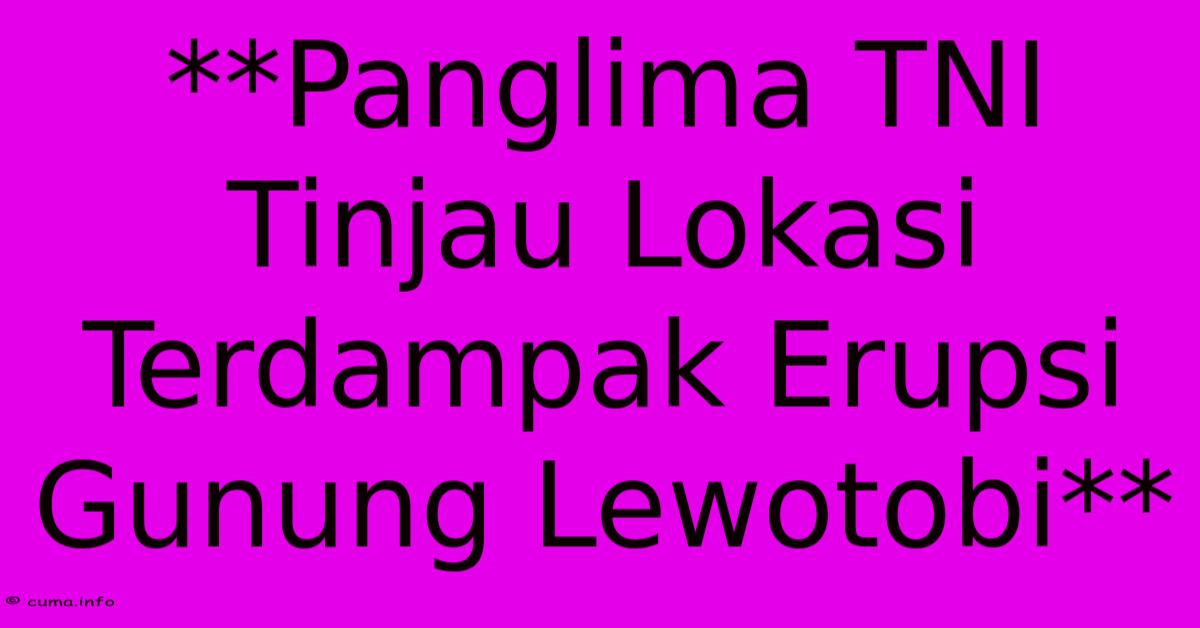 **Panglima TNI Tinjau Lokasi Terdampak Erupsi Gunung Lewotobi**