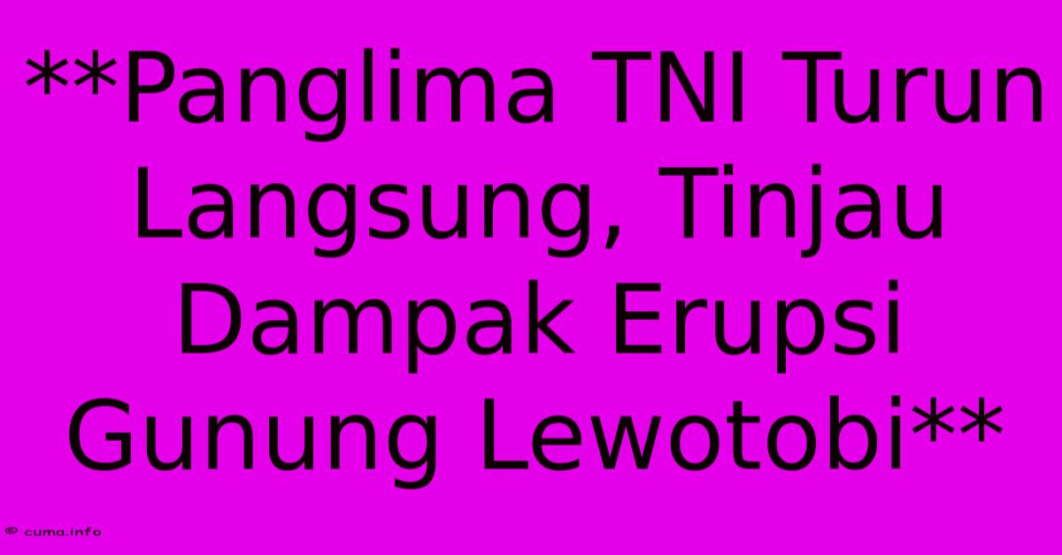 **Panglima TNI Turun Langsung, Tinjau Dampak Erupsi Gunung Lewotobi**