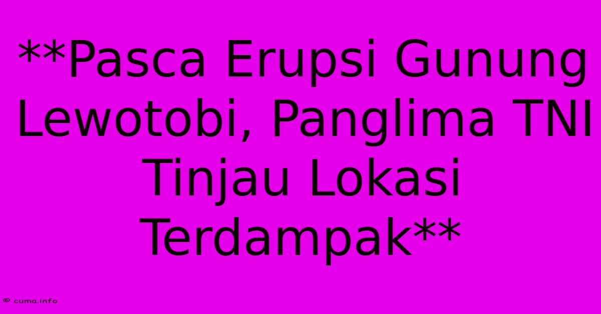 **Pasca Erupsi Gunung Lewotobi, Panglima TNI Tinjau Lokasi Terdampak** 