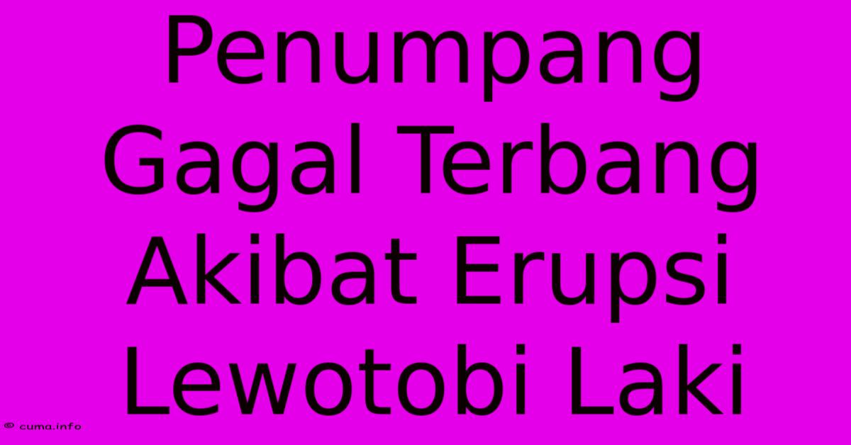 Penumpang Gagal Terbang Akibat Erupsi Lewotobi Laki Penumpang Gagal Terbang Akibat Erupsi Lewotobi Laki
