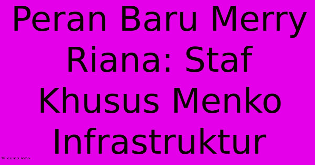Peran Baru Merry Riana: Staf Khusus Menko Infrastruktur Peran Baru Merry Riana: Staf Khusus Menko Infrastruktur