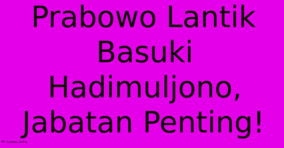 Prabowo Lantik Basuki Hadimuljono, Jabatan Penting! Prabowo Lantik Basuki Hadimuljono, Jabatan Penting!