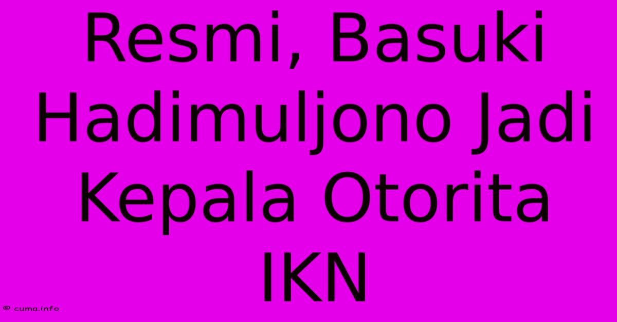 Resmi, Basuki Hadimuljono Jadi Kepala Otorita IKN Resmi, Basuki Hadimuljono Jadi Kepala Otorita IKN