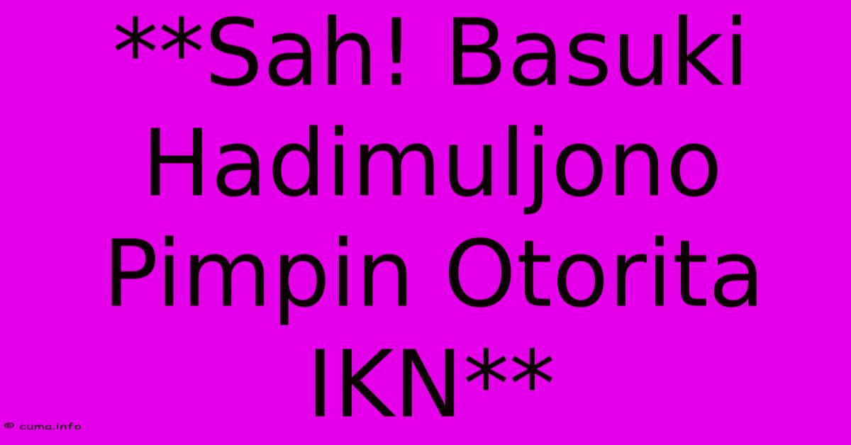 **Sah! Basuki Hadimuljono Pimpin Otorita IKN** **Sah! Basuki Hadimuljono Pimpin Otorita IKN**