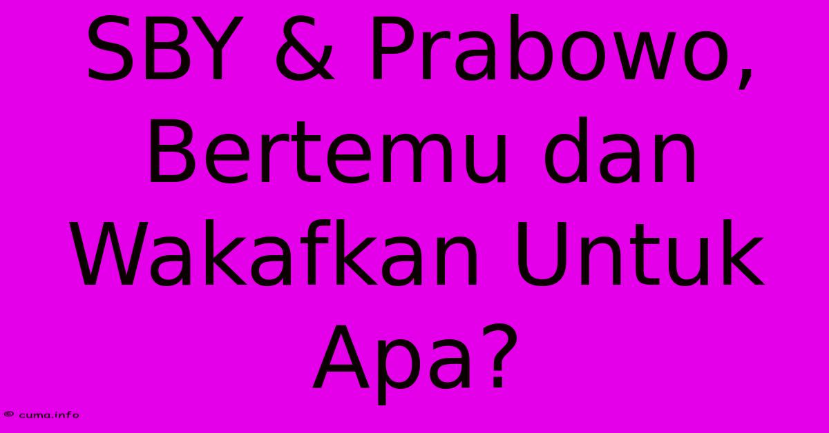 SBY & Prabowo, Bertemu Dan Wakafkan Untuk Apa? SBY & Prabowo, Bertemu Dan Wakafkan Untuk Apa?
