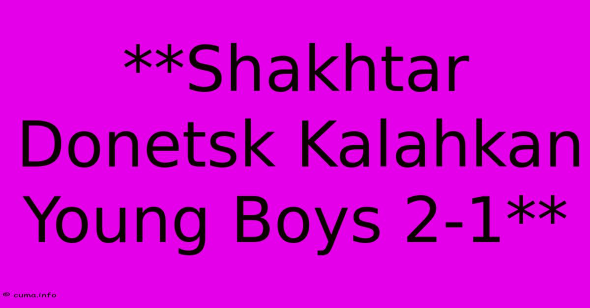 **Shakhtar Donetsk Kalahkan Young Boys 2-1** **Shakhtar Donetsk Kalahkan Young Boys 2-1**