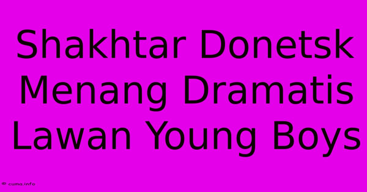 Shakhtar Donetsk Menang Dramatis Lawan Young Boys Shakhtar Donetsk Menang Dramatis Lawan Young Boys