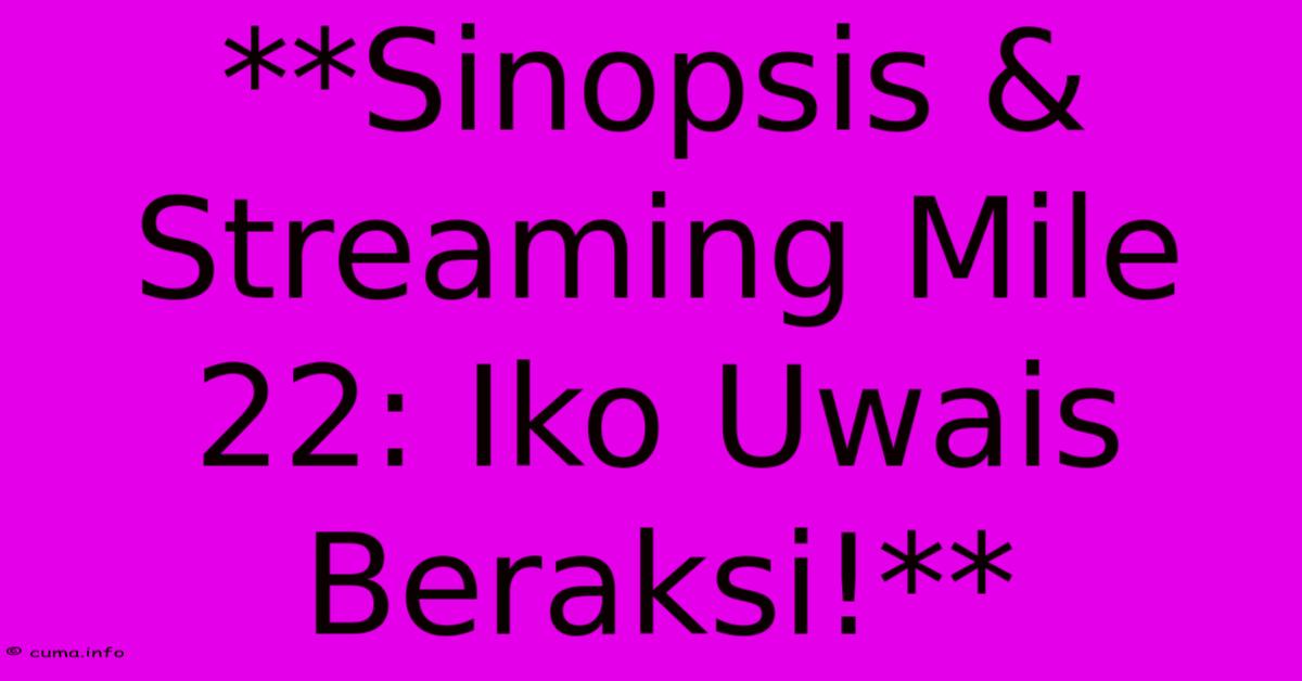 **Sinopsis & Streaming Mile 22: Iko Uwais Beraksi!**