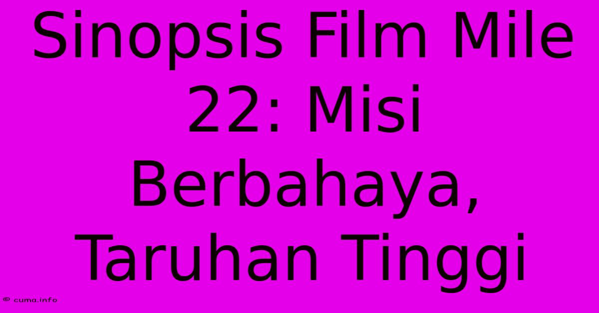 Sinopsis Film Mile 22: Misi Berbahaya, Taruhan Tinggi