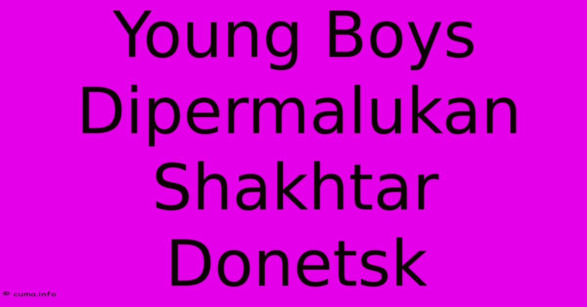 Young Boys Dipermalukan Shakhtar Donetsk Young Boys Dipermalukan Shakhtar Donetsk